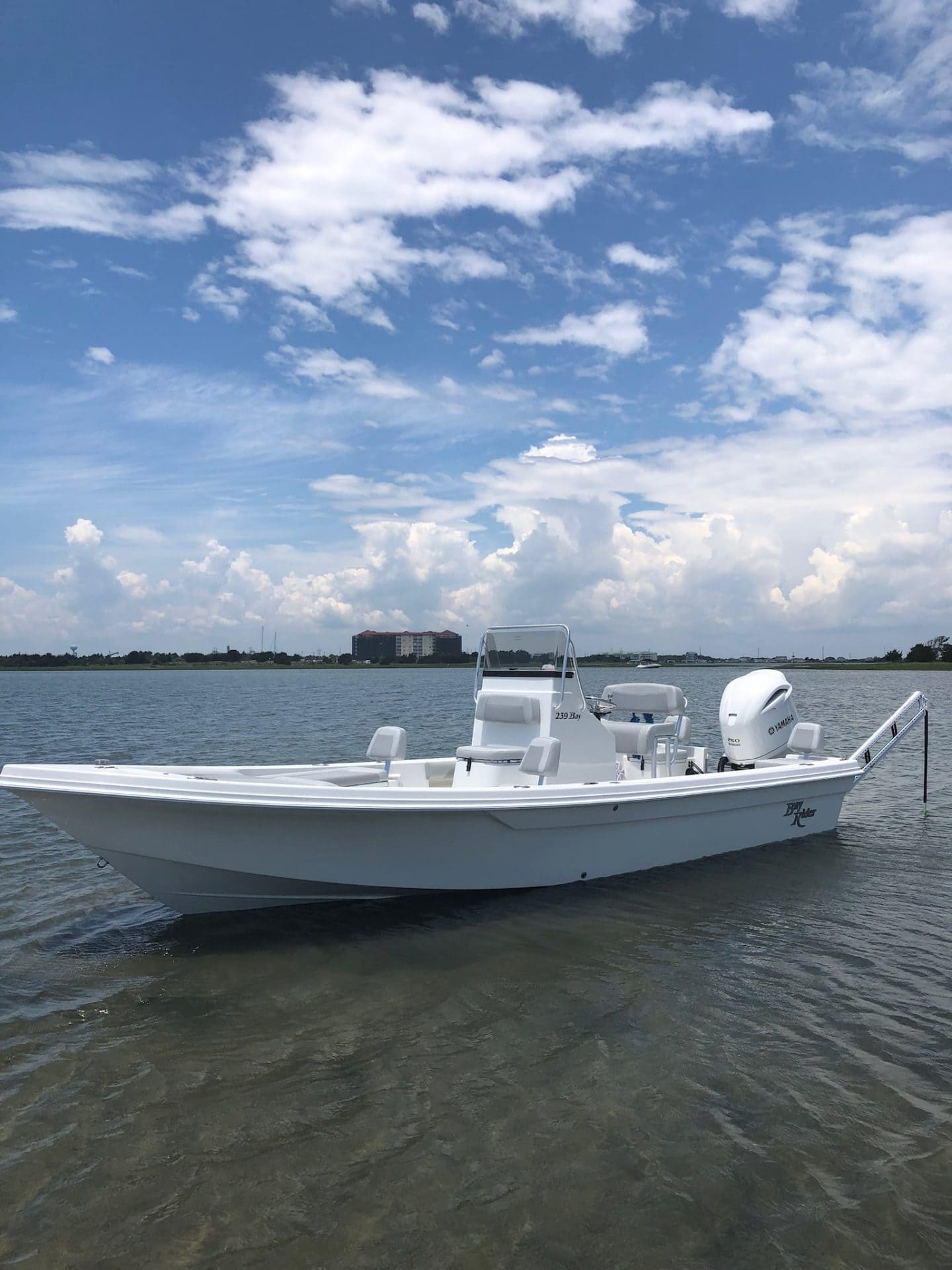 239 Bay Profile