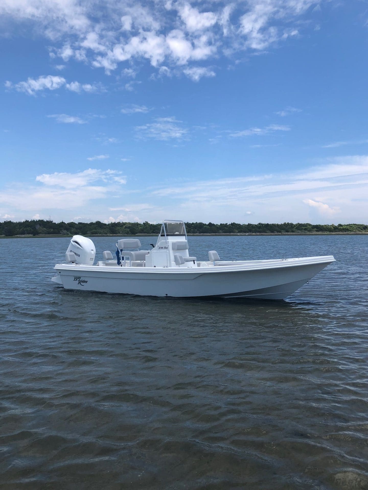 239 Bay Profile